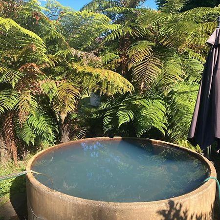 Whare&Geothermal Pool By Lake Taupo Turangi Extérieur photo