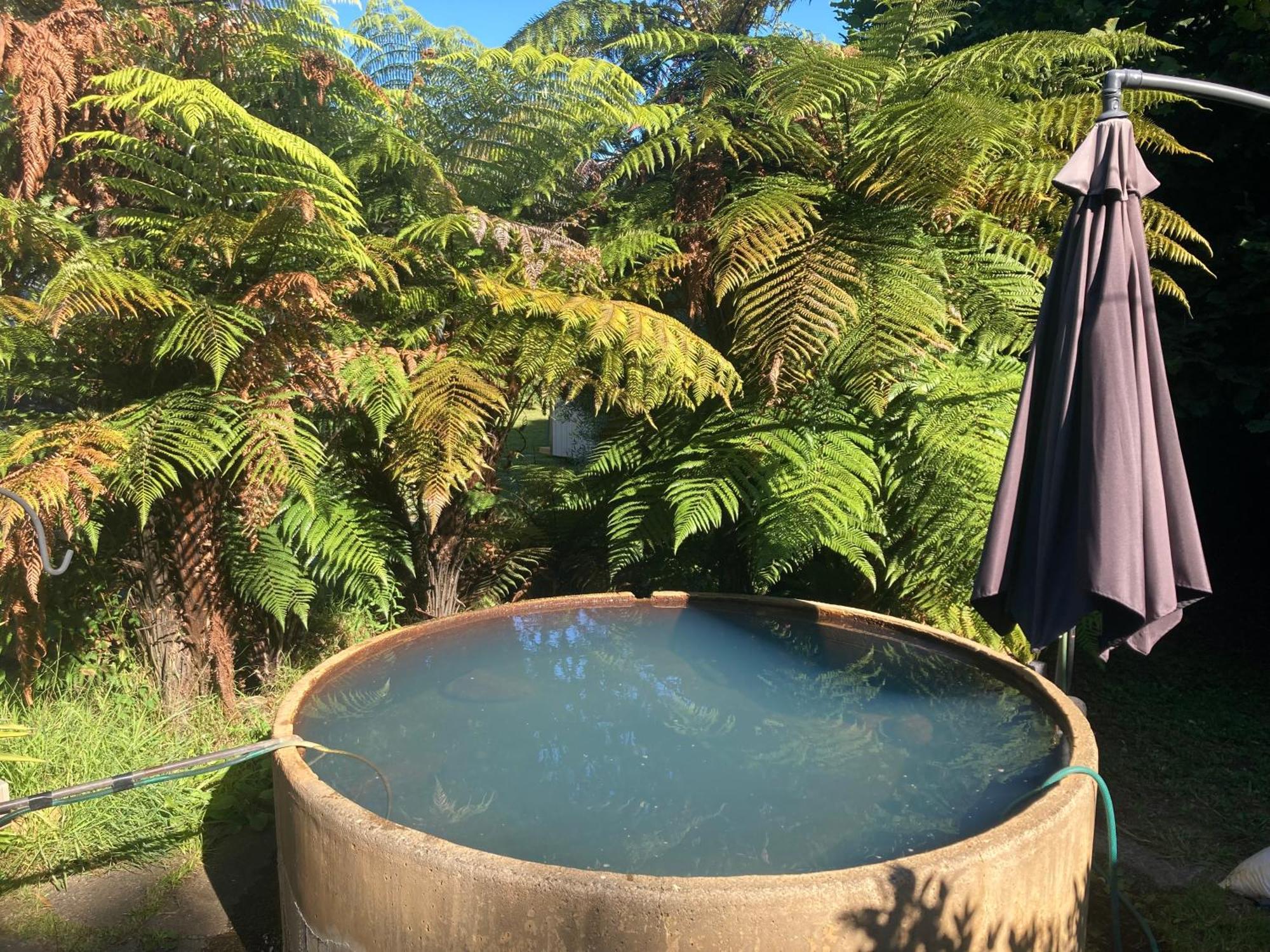 Whare&Geothermal Pool By Lake Taupo Turangi Extérieur photo